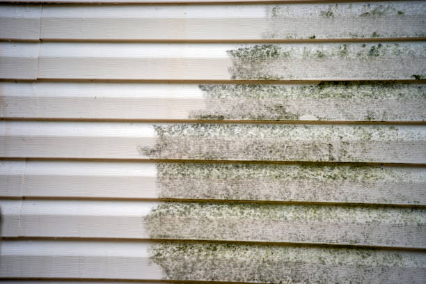 Best Siding Painting and Refinishing  in Stephens City, VA