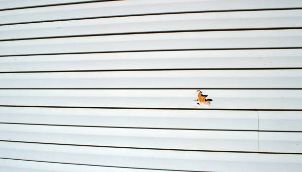 Best Fiber Cement Siding Installation  in Stephens City, VA
