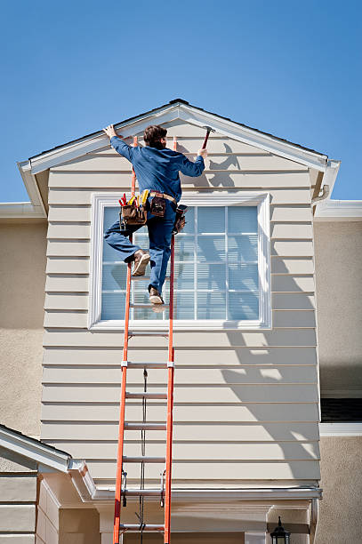 Best Historical Building Siding Restoration  in Stephens City, VA