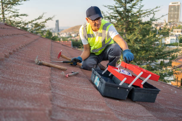 Best Storm Damage Siding Repair  in Stephens City, VA